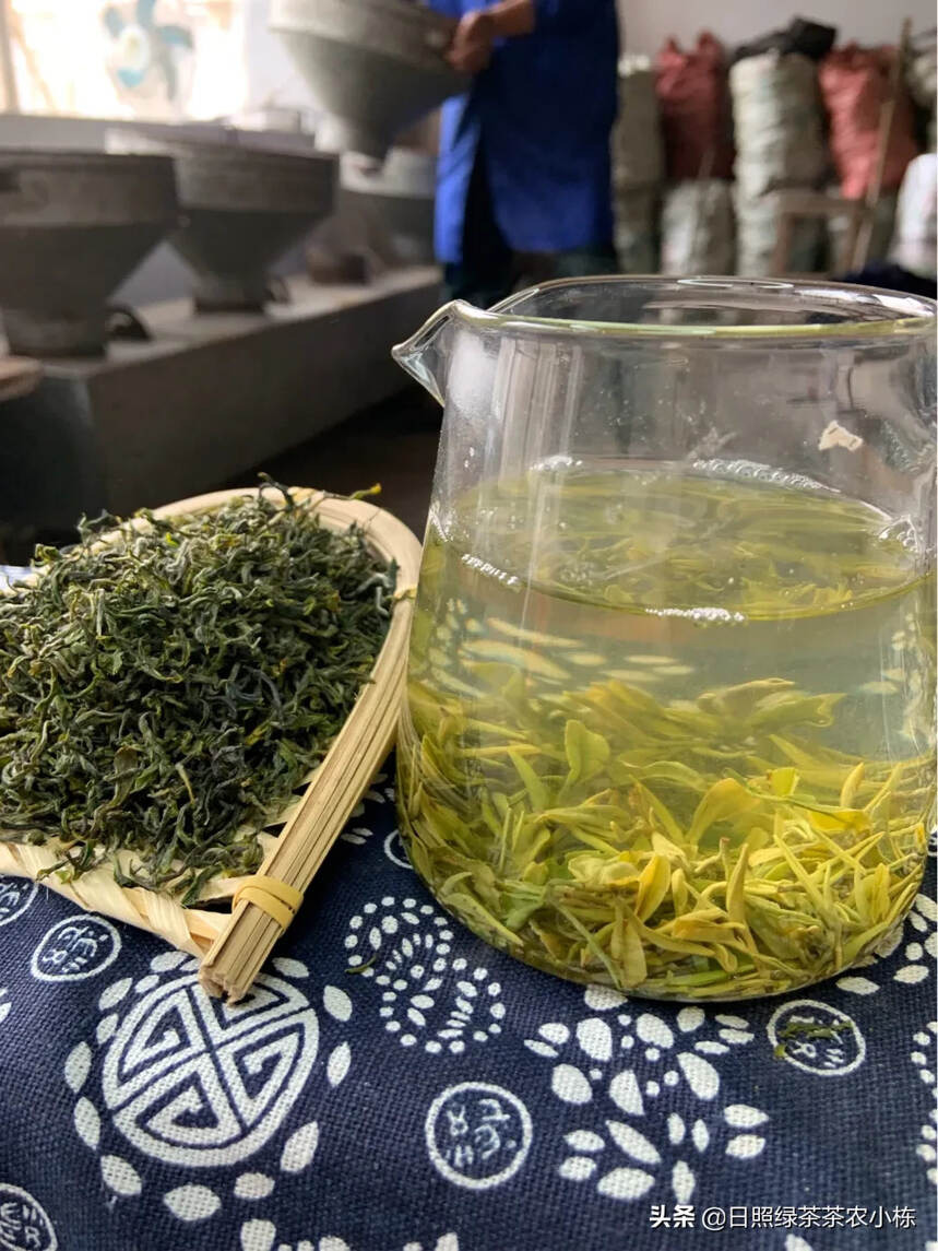 全国各地绿茶都已上市，却忘记了还有一种好喝的绿茶还没采摘