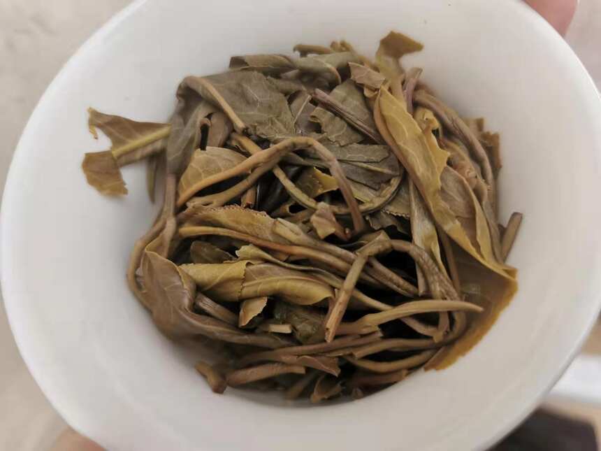 普洱茶茶评第21期：老曼娥古树单株