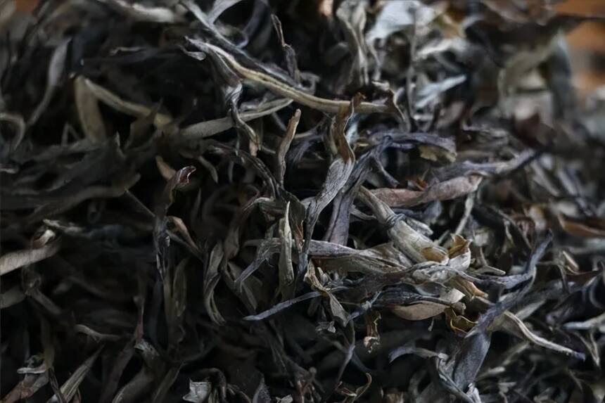 普洱茶动态：区分普洱茶的工艺香和品种香？