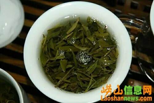 选购青岛崂山茶攻略：买正宗崂山绿茶 必须去原产地 价格低 口感好！