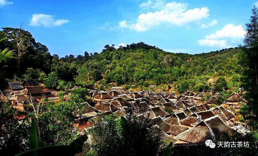 世界唯一一座以茶的名义申请世界非物质文化遗产的神山——景迈山