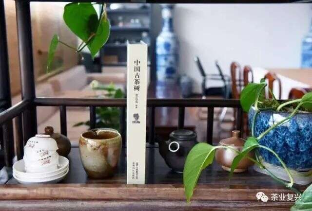 想搞懂古树茶，要读《中国古茶树》