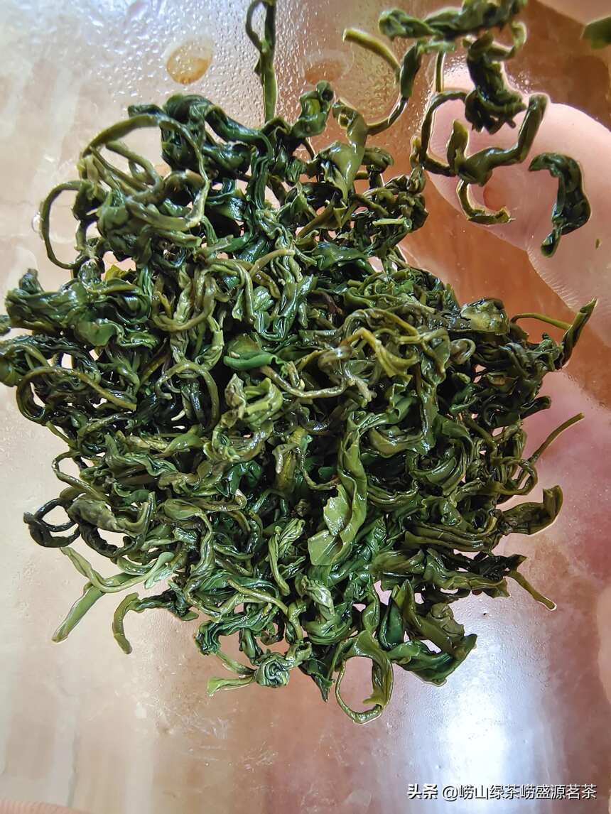 崂山绿茶春末茶有哪些特点？