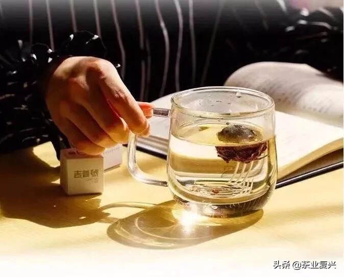 2019年，普洱茶真的消费降级了吗？