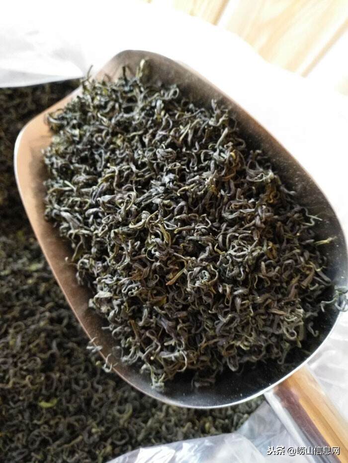 青岛崂山绿茶—春茶系列—头胚卷曲茶