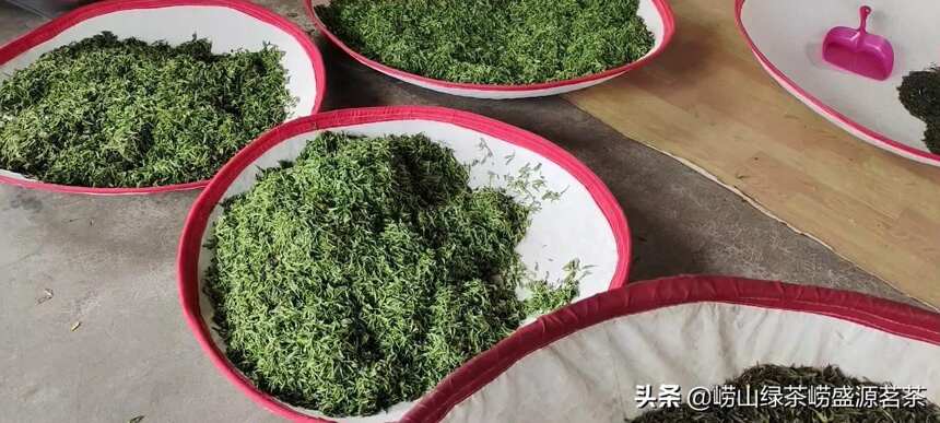 你喜欢喝哪个季节的崂山绿茶？
