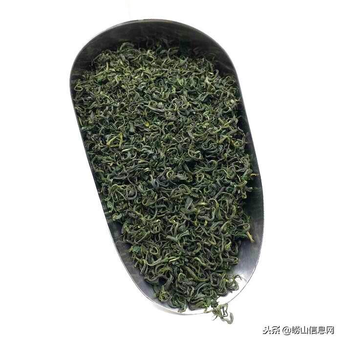 你经常喝崂山绿茶吗？