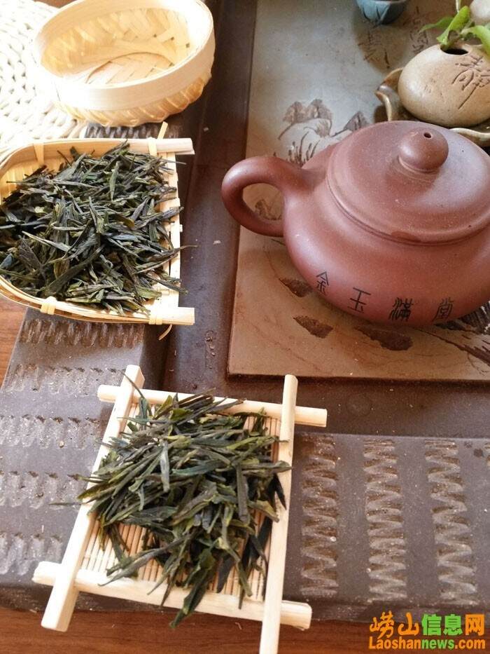 崂山红茶与崂山绿茶的对比 它们的区别是什么？