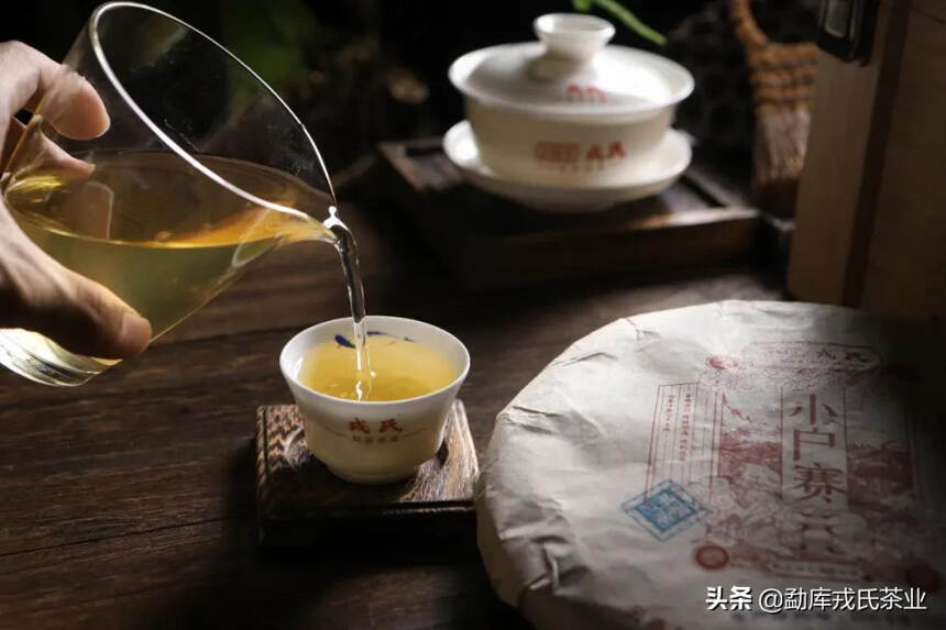 闻香羊城，勐库戎氏携重磅好茶即将登场广州茶博会