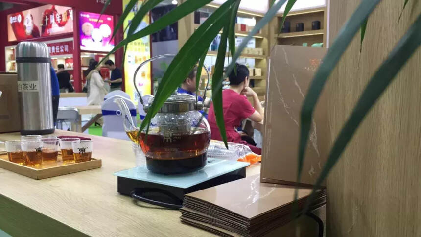 ﻿武汉茶博会 ▏白茶的六个段位，你喝到哪一段了？