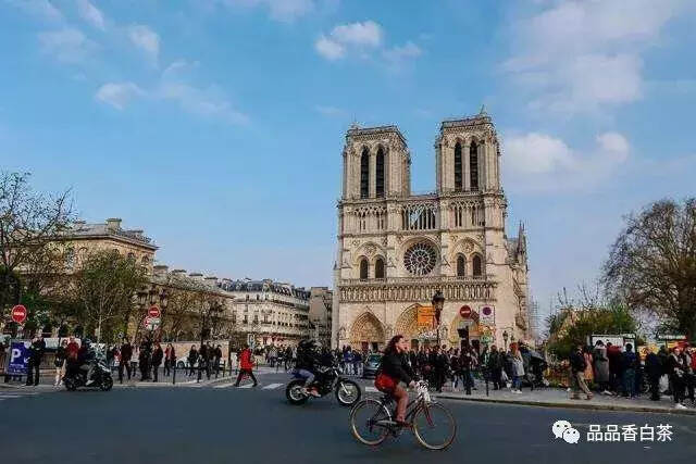 巴黎圣母院不等你，“它”却从未离开你！