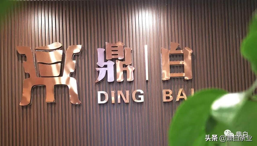 「新店开业」鼎白扬州白茶体验店正式亮相