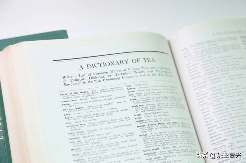 这本书，为何可以和《茶经》《吃茶养生记》并称世界三大茶书？