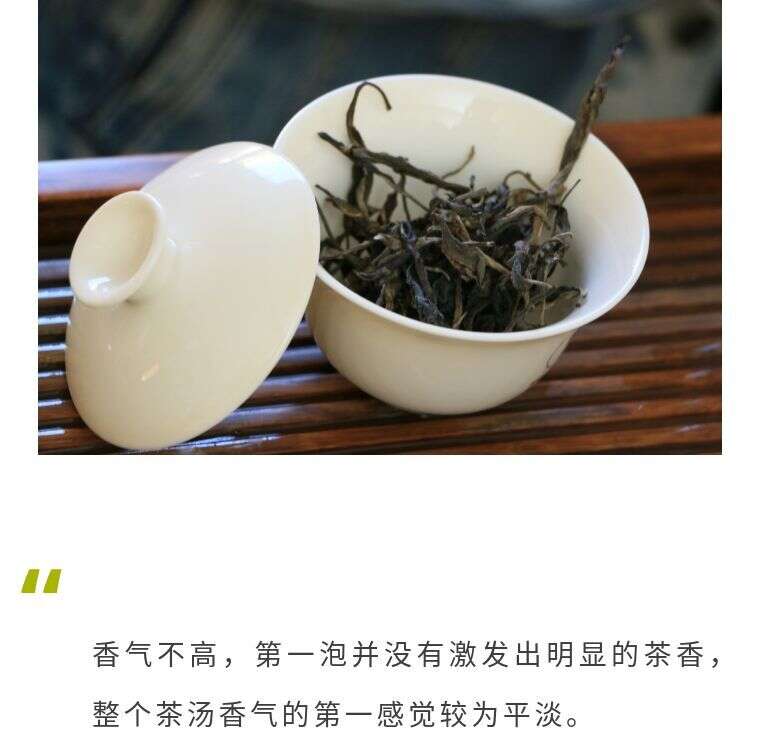 普洱茶茶评第026期