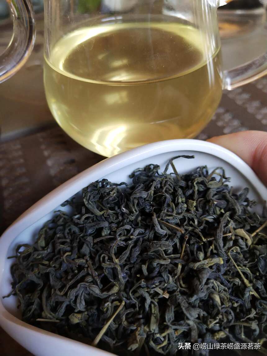 100元左右的崂山绿茶是什么茶？