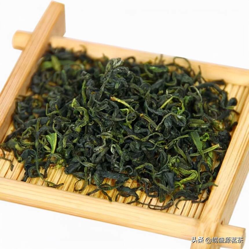 教您如何鉴别和冲泡真正的崂山绿茶