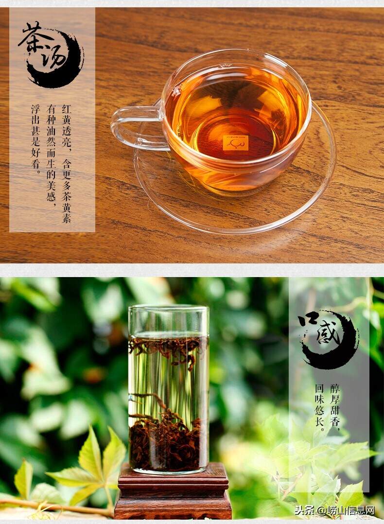 正宗青岛崂山红茶