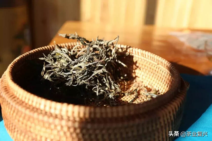 周重林重磅原创：云南古茶园的9种类型