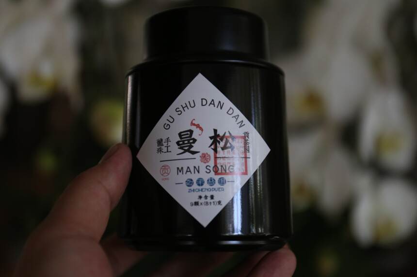 昔日“贡茶”——久负盛名的曼松古树究竟是个什么味儿？