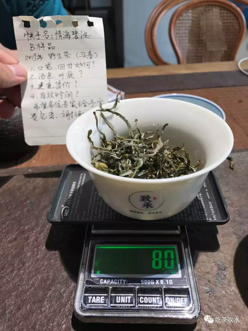 普洱茶品评第八期：2019头春野生茶