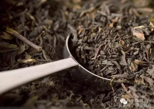 为什么我们喝普洱茶的时候总要问“纯料”还是“拼配”？