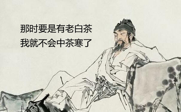 皇帝与茶的故事十二：宋宁宗开禧伐金损国力 杨万里一生好茶诗传今