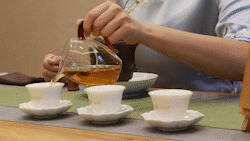 为什么有的白茶保存不成优质老白茶？