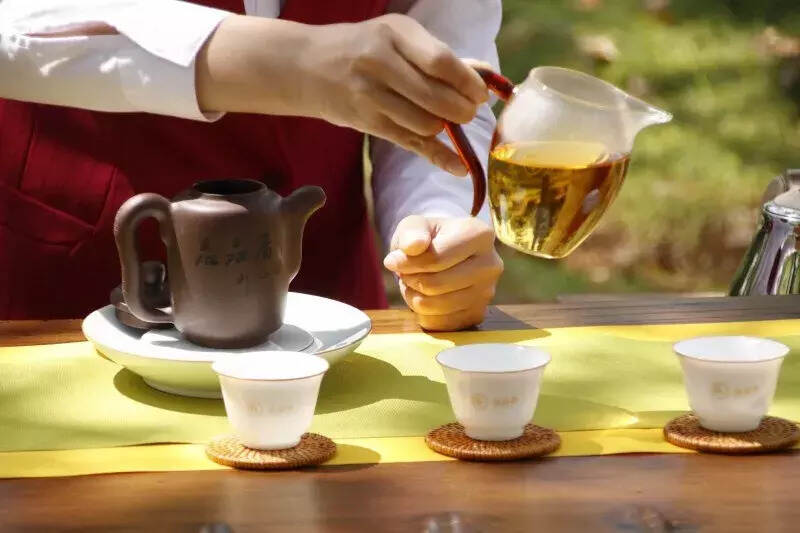 泡白茶！茶具是如何选择的？