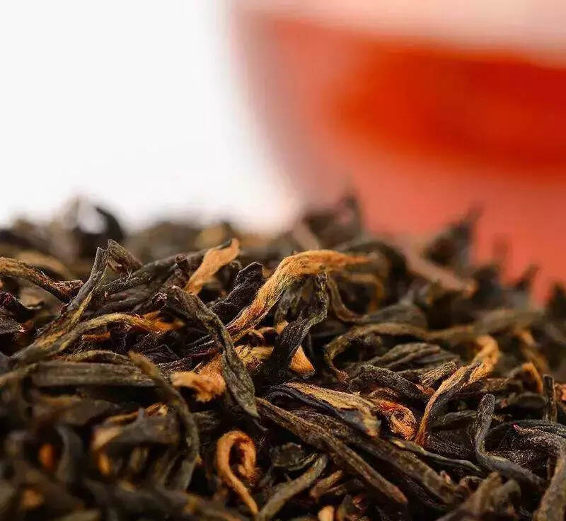名山出名茶——寿宁乌龙茶