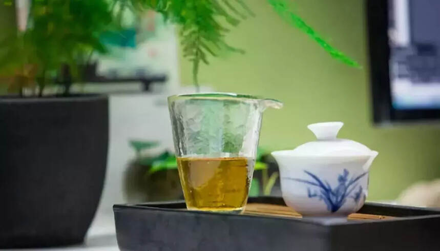 苏东坡为什么爱喝茶
