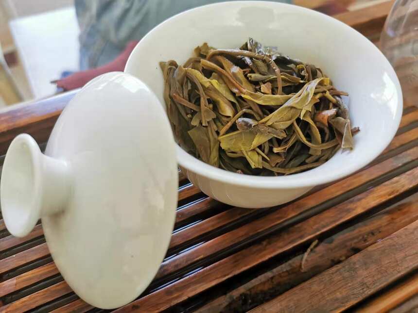 普洱茶茶评第21期：老曼娥古树单株