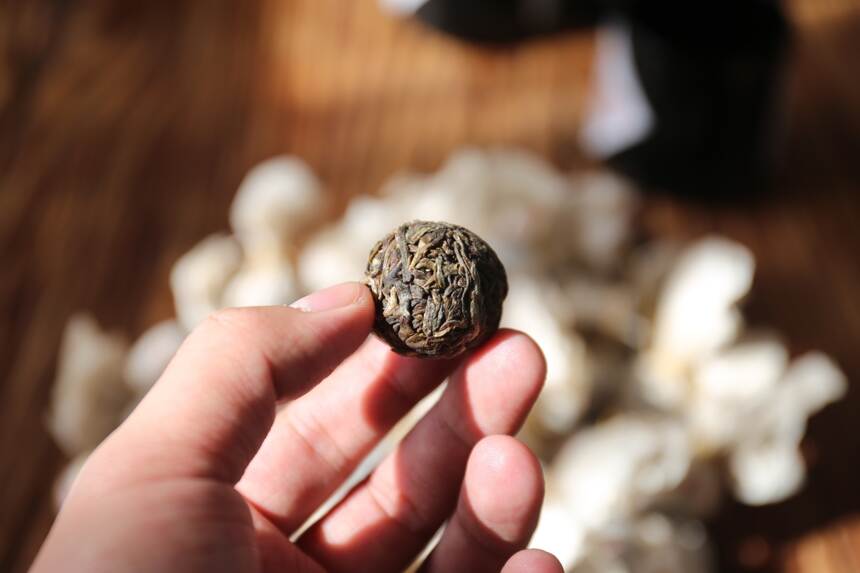 昔日“贡茶”——久负盛名的曼松古树究竟是个什么味儿？