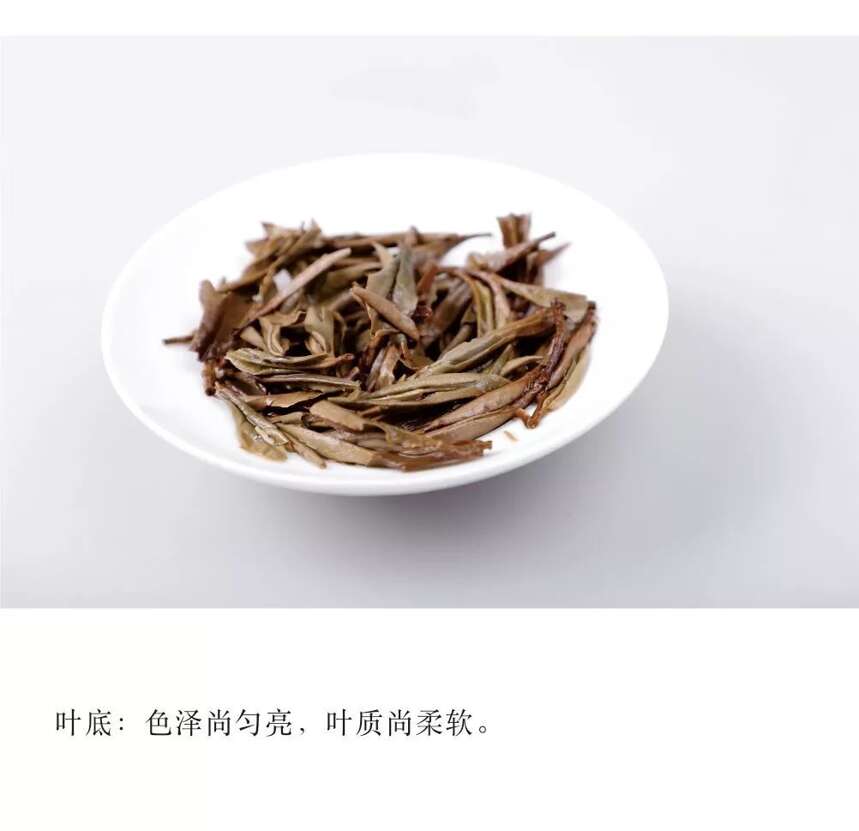 年度收藏钜献丨白露茶——紧压寿眉184-125，即将上市