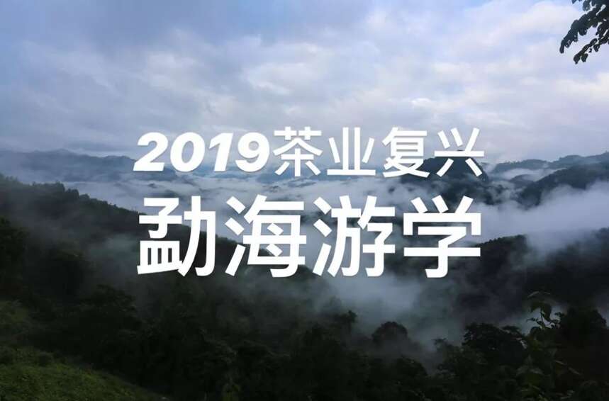 2019茶业复兴勐海游学，珍稀名额开放