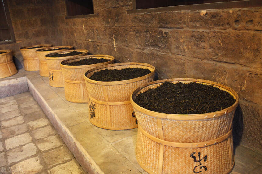 从武夷岩茶中学习如何精准制茶？