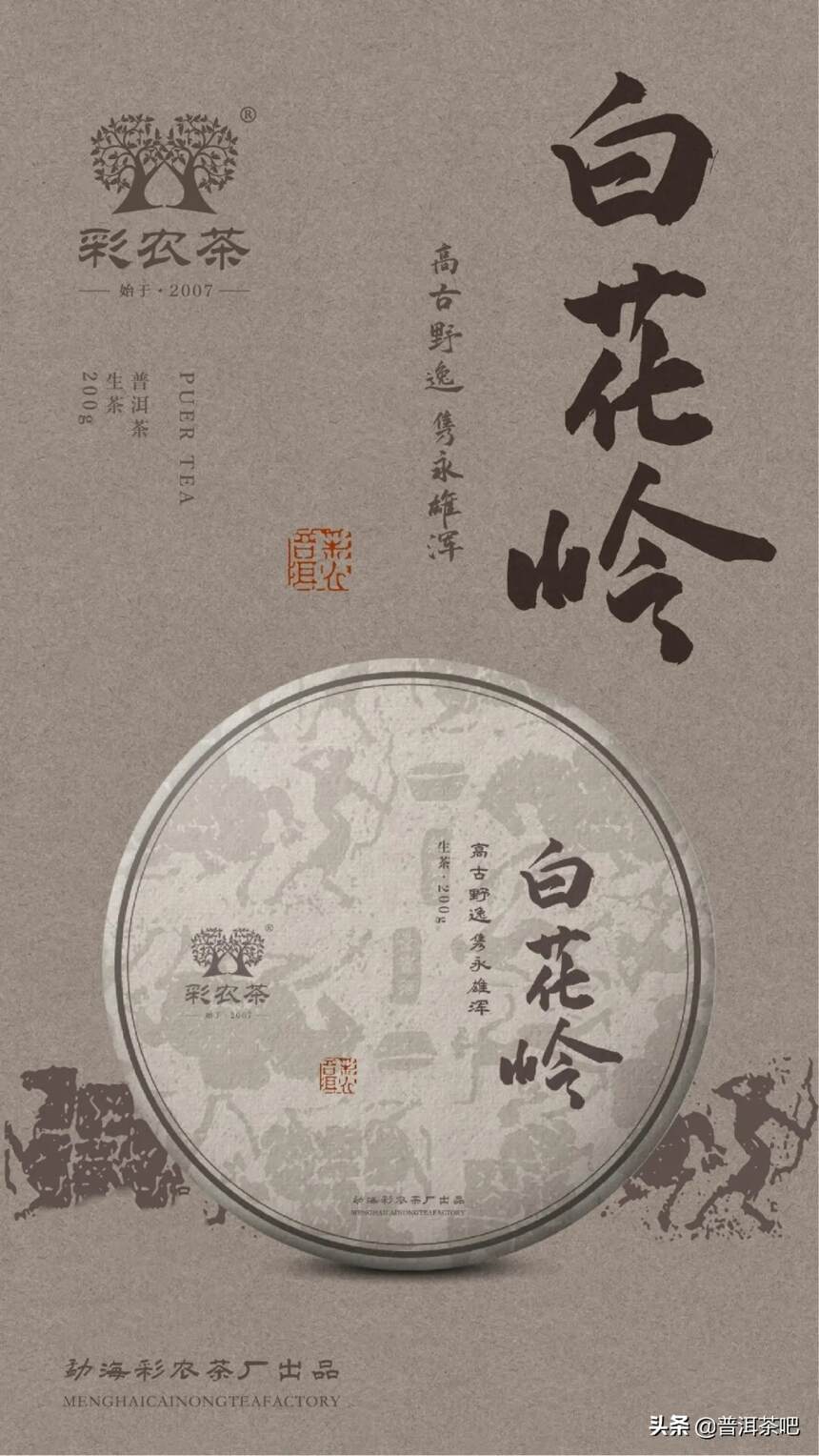 彩农茶｜2021秋•白花岭古树，