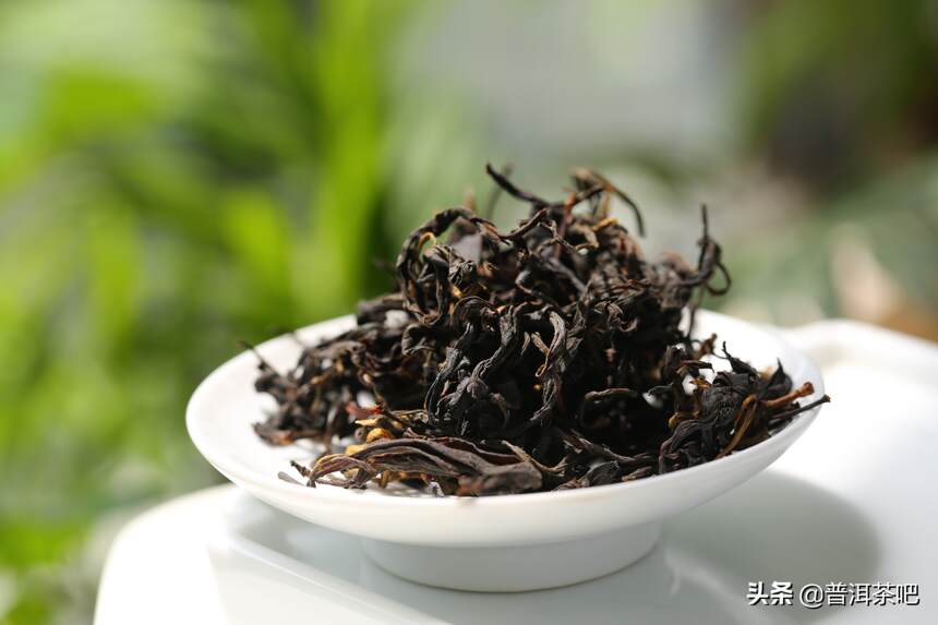 大叶种是适制云南普洱茶的最佳原料吗？