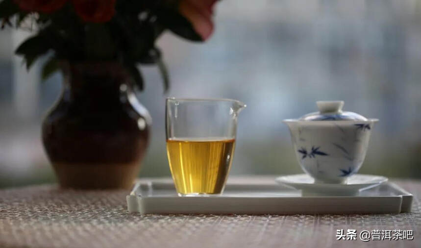 「干货分享」普洱茶正确的冲泡方法