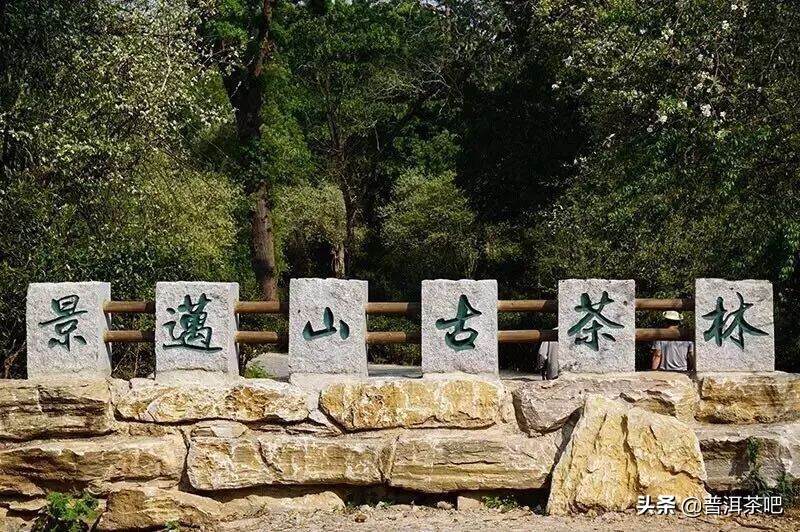 世界茶文化历史自然博物馆—景迈山