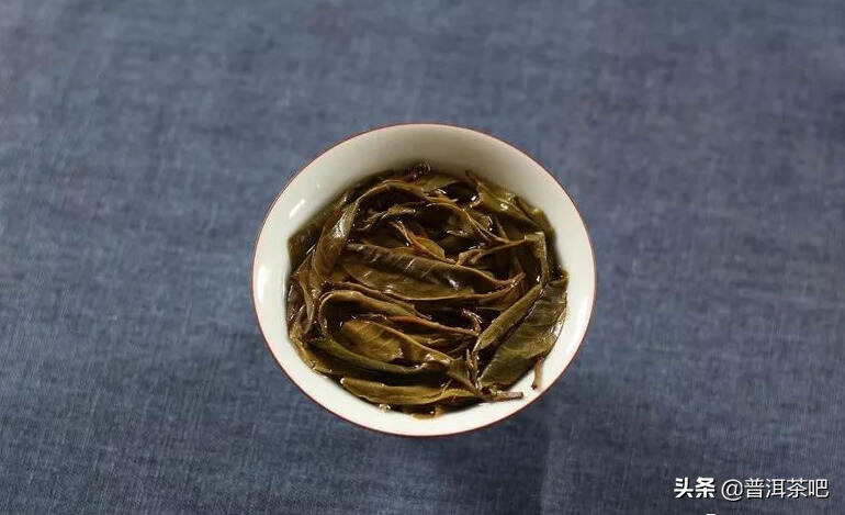生茶的叶底轻柔有泥化的现象，这究竟是怎么回事呢？