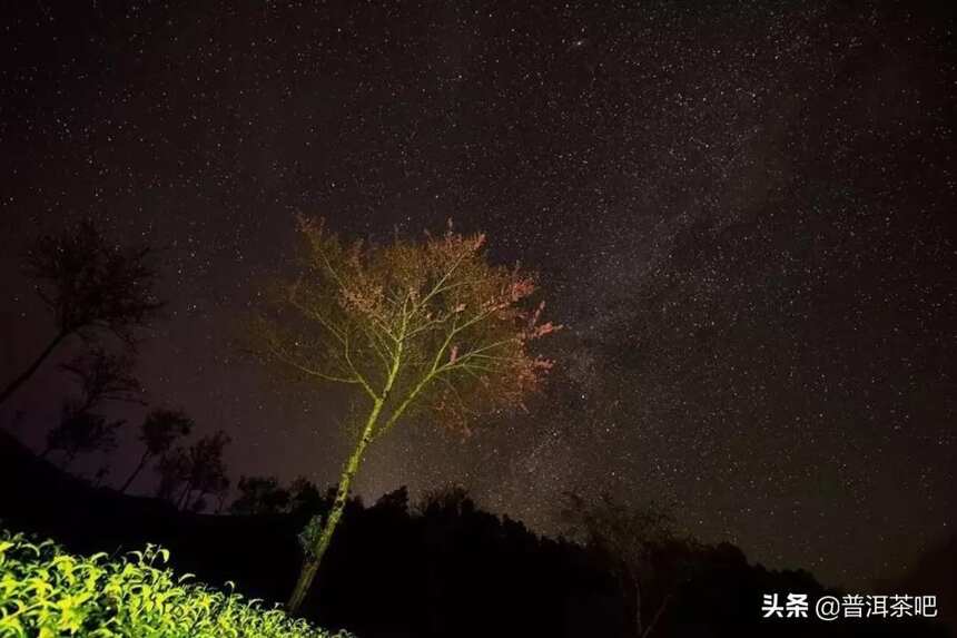 云南大理无量山樱花谷，中国冬天最美的地方，没有之一
