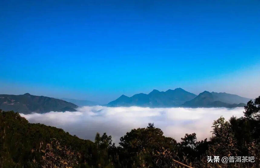 「普洱茶山行」临沧：一座低调的宝藏之城