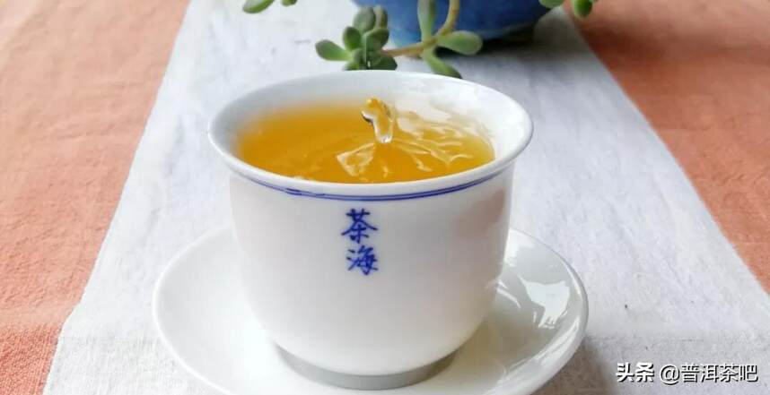 「干货分享」细数云南名山古树普洱茶的滋味特点