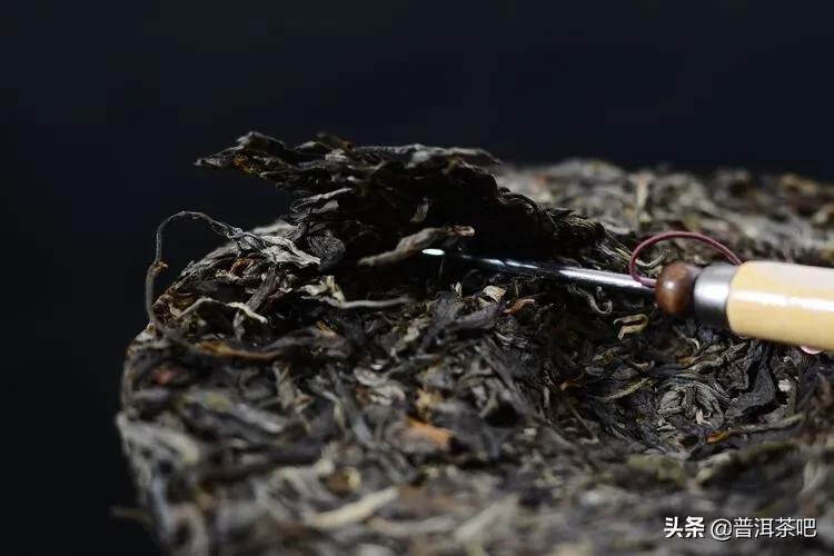 香竹林古树茶2019年