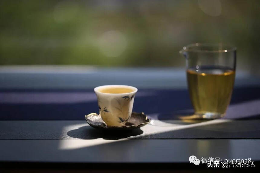 「干货分享」大平掌：景迈大寨最出名的古树茶园