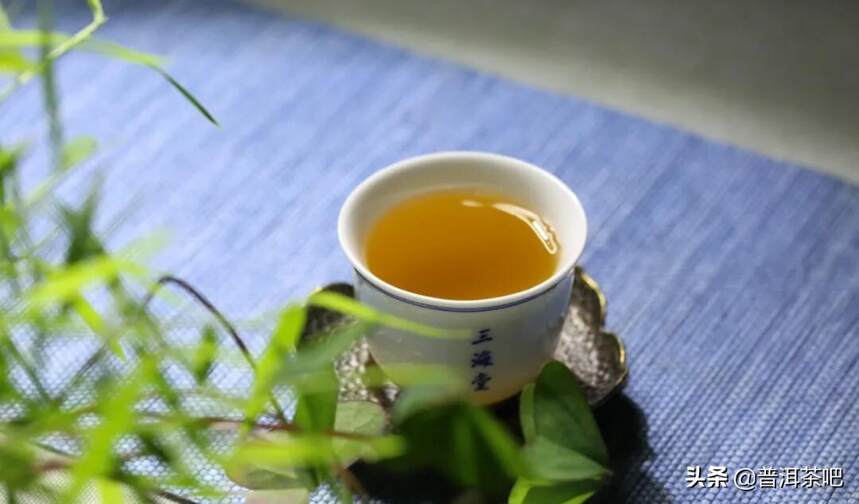 云南普洱茶生茶与熟茶，不仅仅是一个渥堆的距离