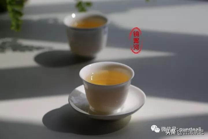 「干货分享」瑶区普洱茶仙境之铜箐河古茶园