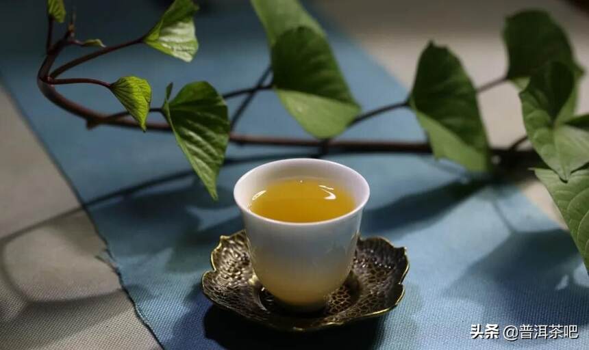 「干货分享」据说，倚邦是普洱茶的起点，也是喝茶人的终点