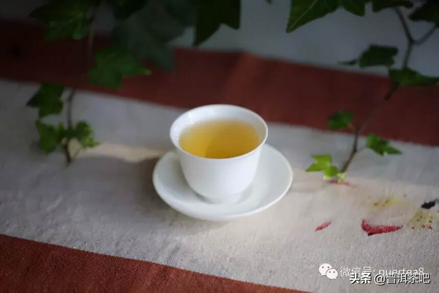 「干货分享」普洱茶内含物质与口感的关系