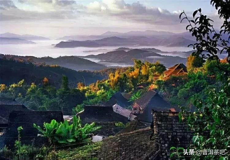 「普洱茶山行」云南普洱景迈山芒景村布朗族的家园普洱茶的故乡